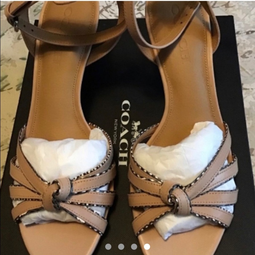 Coach shoes
